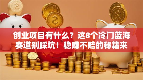 创业项目有什么？这8个冷门蓝海赛道别踩坑！稳赚不赔的秘籍来了