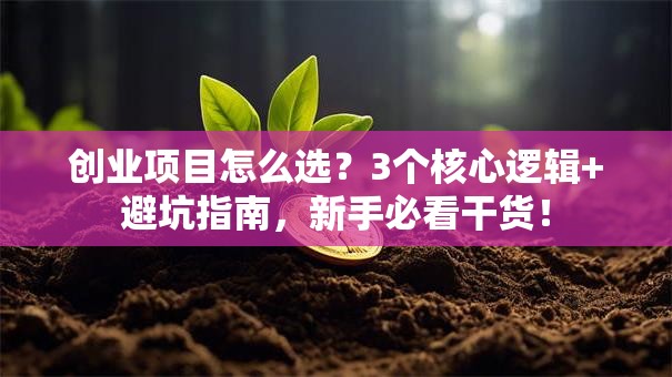 创业项目怎么选？3个核心逻辑+避坑指南，新手必看干货！