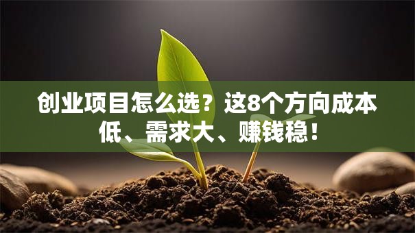 创业项目怎么选？这8个方向成本低、需求大、赚钱稳！