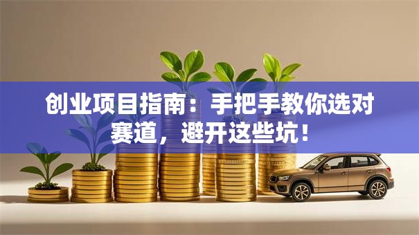 创业项目指南：手把手教你选对赛道，避开这些坑！