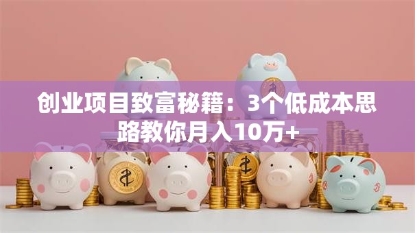 创业项目致富秘籍：3个低成本思路教你月入10万+