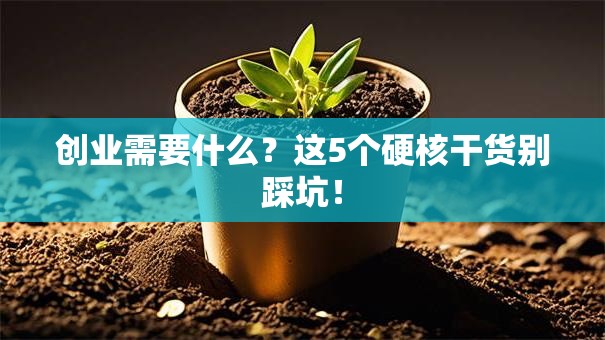 创业需要什么？这5个硬核干货别踩坑！
