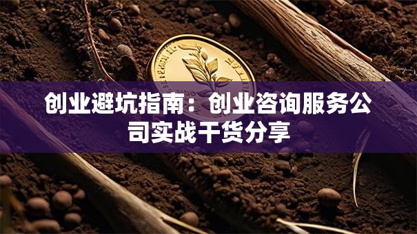创业避坑指南：创业咨询服务公司实战干货分享