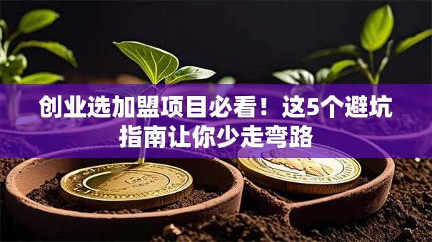 创业选加盟项目必看！这5个避坑指南让你少走弯路