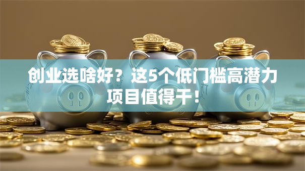 创业选啥好？这5个低门槛高潜力项目值得干！