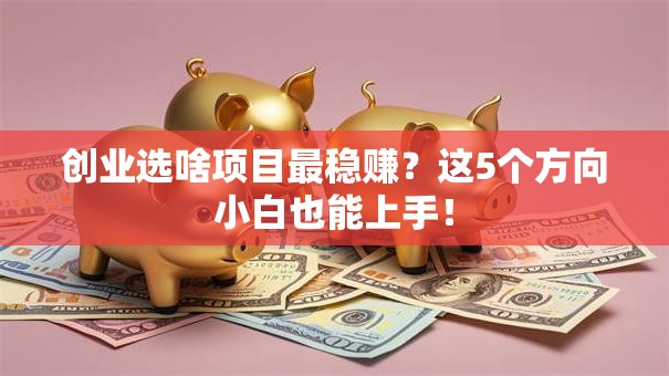 创业选啥项目最稳赚？这5个方向小白也能上手！