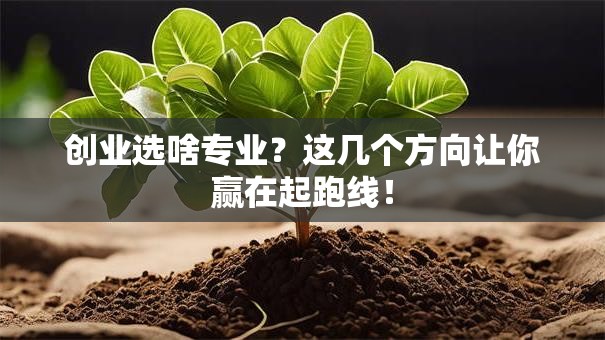 创业选啥专业？这几个方向让你赢在起跑线！