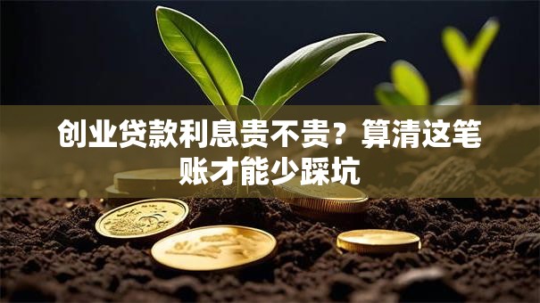 创业贷款利息贵不贵？算清这笔账才能少踩坑