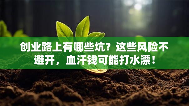 创业路上有哪些坑？这些风险不避开，血汗钱可能打水漂！