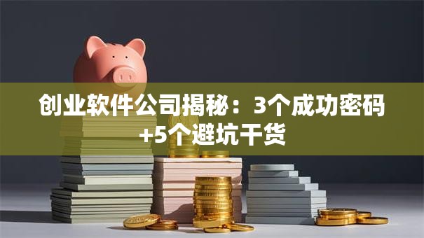 创业软件公司揭秘：3个成功密码+5个避坑干货