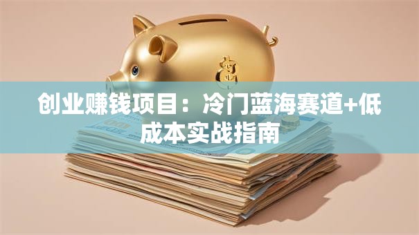 创业赚钱项目：冷门蓝海赛道+低成本实战指南