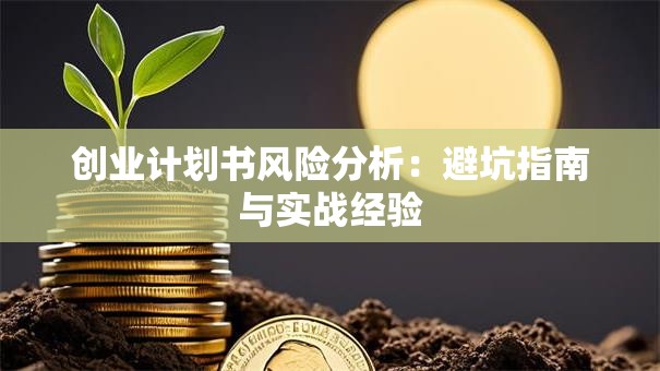 创业计划书风险分析：避坑指南与实战经验