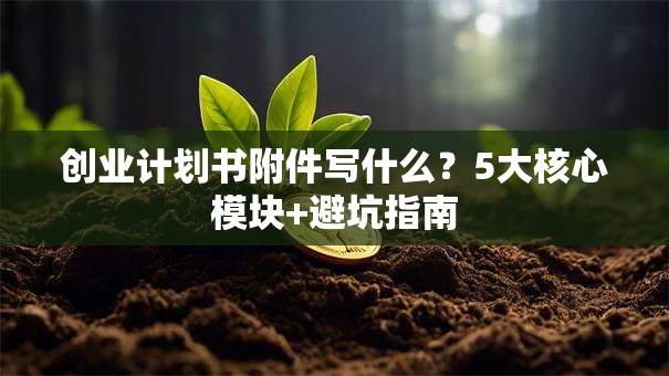 创业计划书附件写什么？5大核心模块+避坑指南