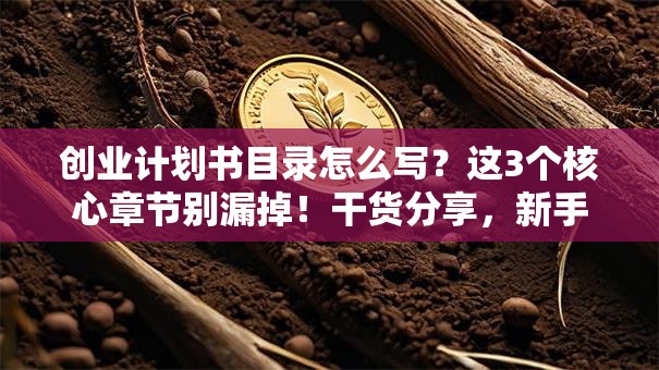 创业计划书目录怎么写？这3个核心章节别漏掉！干货分享，新手避坑指南
