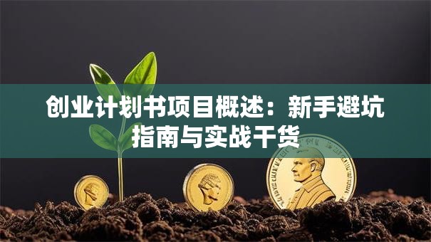 创业计划书项目概述：新手避坑指南与实战干货