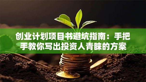 创业计划项目书避坑指南：手把手教你写出投资人青睐的方案