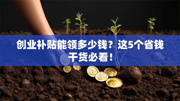 创业补贴能领多少钱？这5个省钱干货必看！