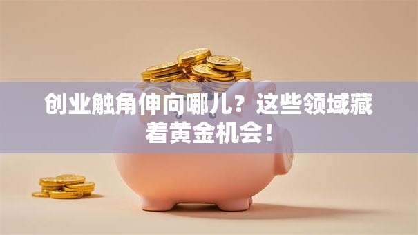 创业触角伸向哪儿？这些领域藏着黄金机会！