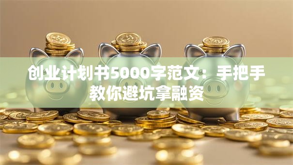 创业计划书5000字范文：手把手教你避坑拿融资