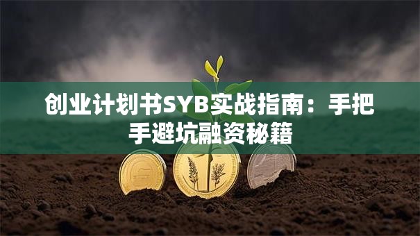 创业计划书SYB实战指南：手把手避坑融资秘籍
