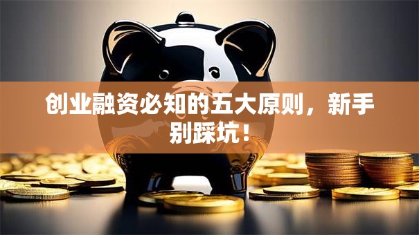 创业融资必知的五大原则，新手别踩坑！