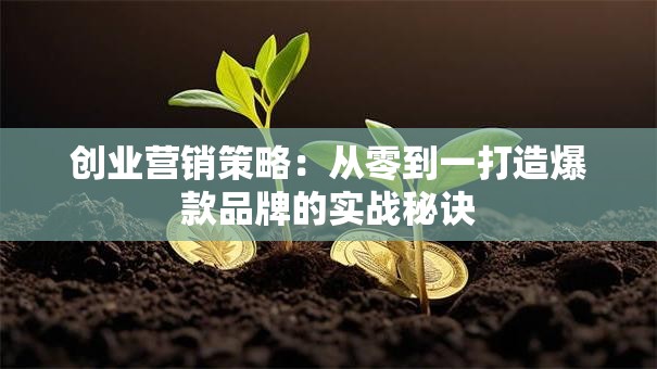 创业营销策略：从零到一打造爆款品牌的实战秘诀