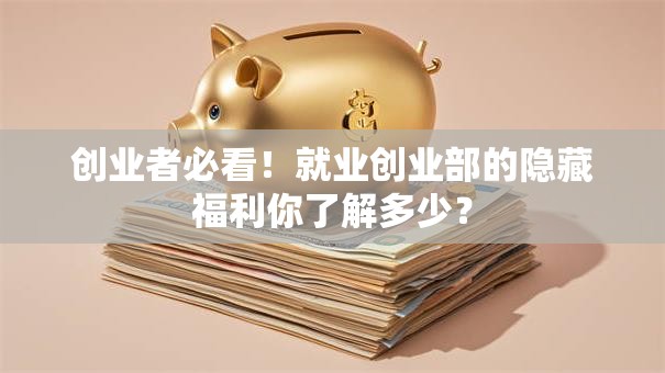 创业者必看！就业创业部的隐藏福利你了解多少？