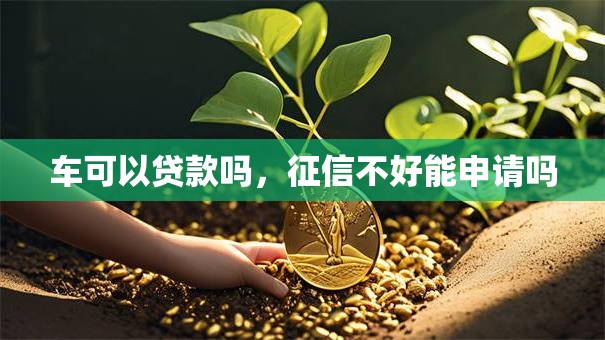 车可以贷款吗，征信不好能申请吗