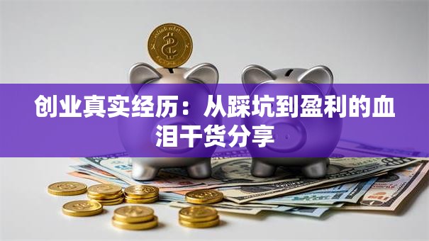 创业真实经历：从踩坑到盈利的血泪干货分享