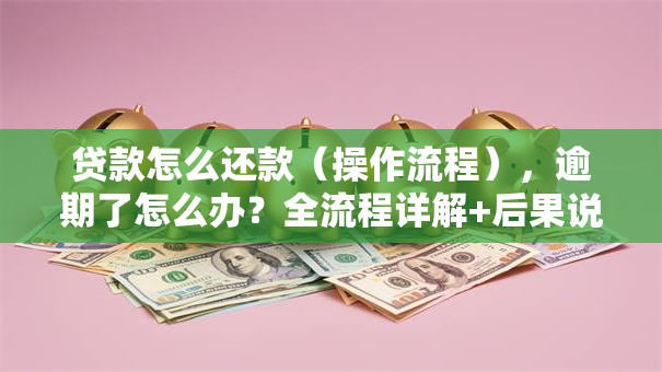 贷款怎么还款（操作流程），逾期了怎么办？全流程详解+后果说明，超实用！