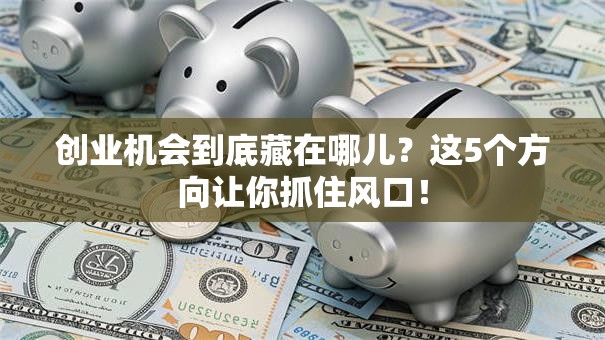 创业机会到底藏在哪儿？这5个方向让你抓住风口！