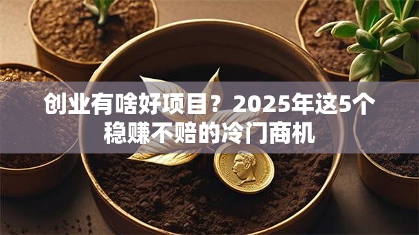 创业有啥好项目？2025年这5个稳赚不赔的冷门商机