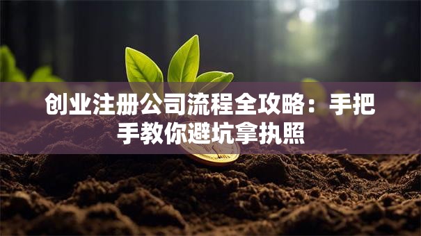 创业注册公司流程全攻略：手把手教你避坑拿执照