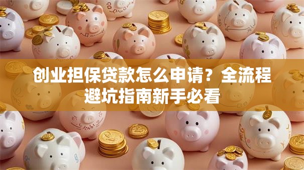 创业担保贷款怎么申请？全流程避坑指南新手必看