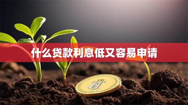 什么贷款利息低又容易申请
