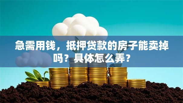 急需用钱，抵押贷款的房子能卖掉吗？具体怎么弄？