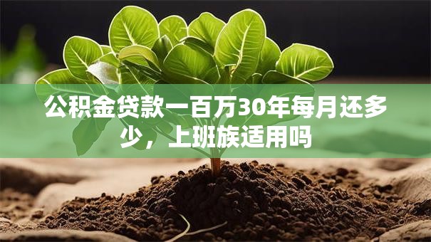 公积金贷款一百万30年每月还多少，上班族适用吗