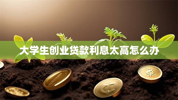 大学生创业贷款利息太高怎么办