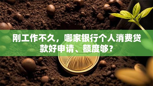 刚工作不久，哪家银行个人消费贷款好申请、额度够？
