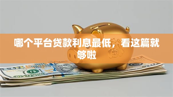 哪个平台贷款利息最低，看这篇就够啦
