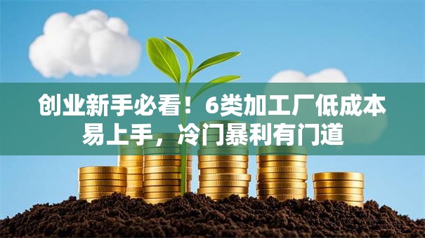 创业新手必看！6类加工厂低成本易上手，冷门暴利有门道