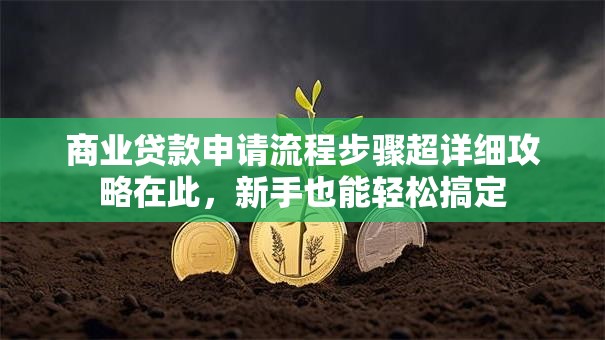 商业贷款申请流程步骤超详细攻略在此，新手也能轻松搞定