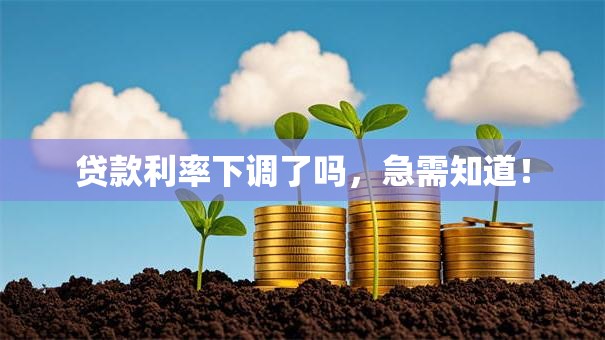 贷款利率下调了吗，急需知道！