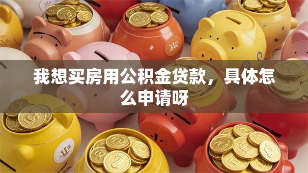 我想买房用公积金贷款，具体怎么申请呀