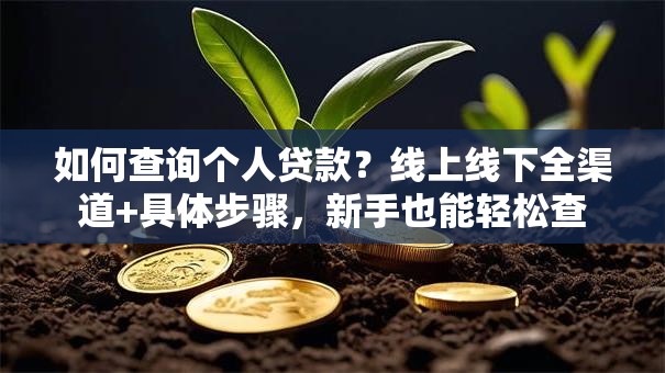 如何查询个人贷款？线上线下全渠道+具体步骤，新手也能轻松查