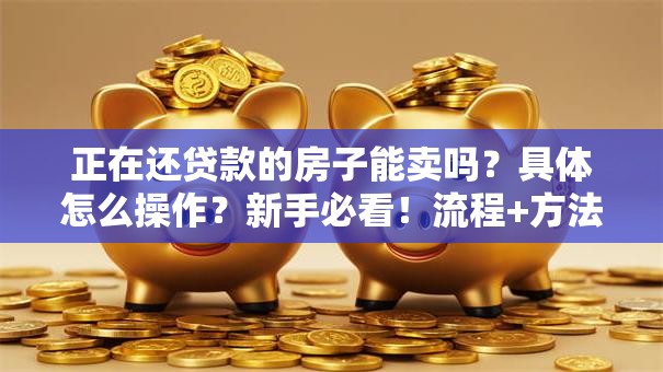 正在还贷款的房子能卖吗？具体怎么操作？新手必看！流程+方法全解析，简单易懂