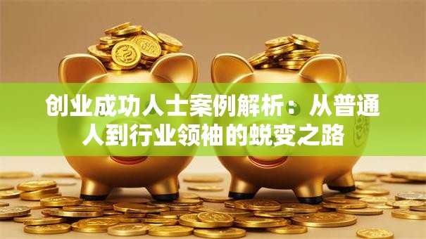 创业成功人士案例解析：从普通人到行业领袖的蜕变之路