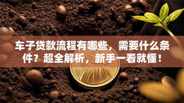 车子贷款流程有哪些，需要什么条件？超全解析，新手一看就懂！