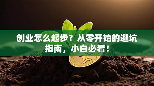 创业怎么起步？从零开始的避坑指南，小白必看！