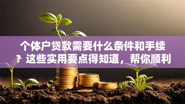 个体户贷款需要什么条件和手续？这些实用要点得知道，帮你顺利申请！